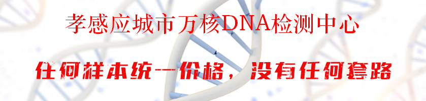 孝感应城市万核DNA检测中心