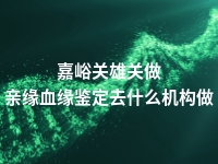 嘉峪关雄关做亲缘血缘鉴定去什么机构做