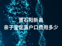 黄石阳新县亲子鉴定落户口费用多少