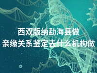 西双版纳勐海县做亲缘关系鉴定去什么机构做