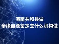 海南共和县做亲缘血缘鉴定去什么机构做