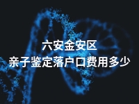 六安金安区亲子鉴定落户口费用多少