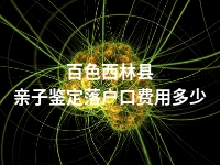 百色西林县亲子鉴定落户口费用多少