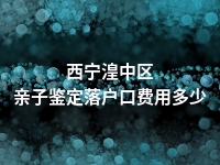 西宁湟中区亲子鉴定落户口费用多少