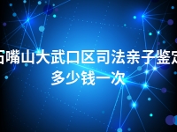 石嘴山大武口区司法亲子鉴定多少钱一次