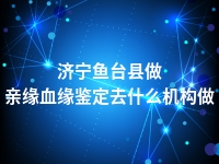 济宁鱼台县做亲缘血缘鉴定去什么机构做