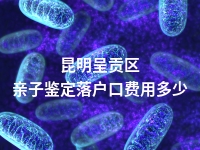 昆明呈贡区亲子鉴定落户口费用多少