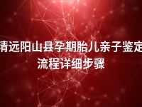 清远阳山县孕期胎儿亲子鉴定流程详细步骤