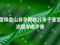 盘锦盘山县孕期胎儿亲子鉴定流程详细步骤