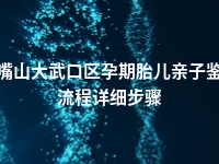 石嘴山大武口区孕期胎儿亲子鉴定流程详细步