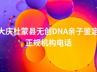 大庆杜蒙县无创DNA亲子鉴定正规机构电话