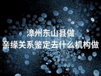 漳州东山县做亲缘关系鉴定去什么机构做