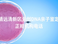 清远清新区无创DNA亲子鉴定正规机构电话