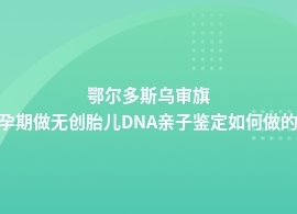 鄂尔多斯乌审旗无创胎儿DNA亲子鉴定机构申请流程