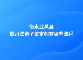 衡水武邑县正规司法亲子鉴定流程