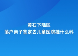 黄石下陆区落户亲子鉴定什么医院可以做