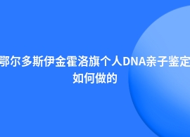 鄂尔多斯伊金霍洛旗个人DNA亲子鉴定什么