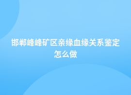 邯郸峰峰矿区亲缘血缘关系鉴定具体流程