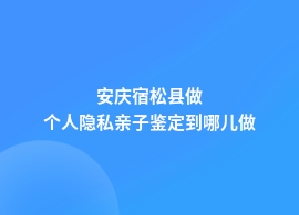 安庆宿松县做个人隐私亲子鉴定去什么机构