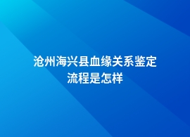 沧州海兴县做血缘关系鉴定如何申请流程