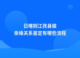 日喀则江孜县做亲缘关系鉴定流程明细